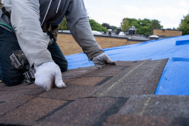 Best Residential Roofing Contractor  in East Peoria, IL